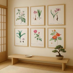 Conjunto de 6 láminas de flores botánicas: ilustraciones vintage de rosas, azafranes y ciclámenes. Arte mural digital de descarga para interiores naturales.