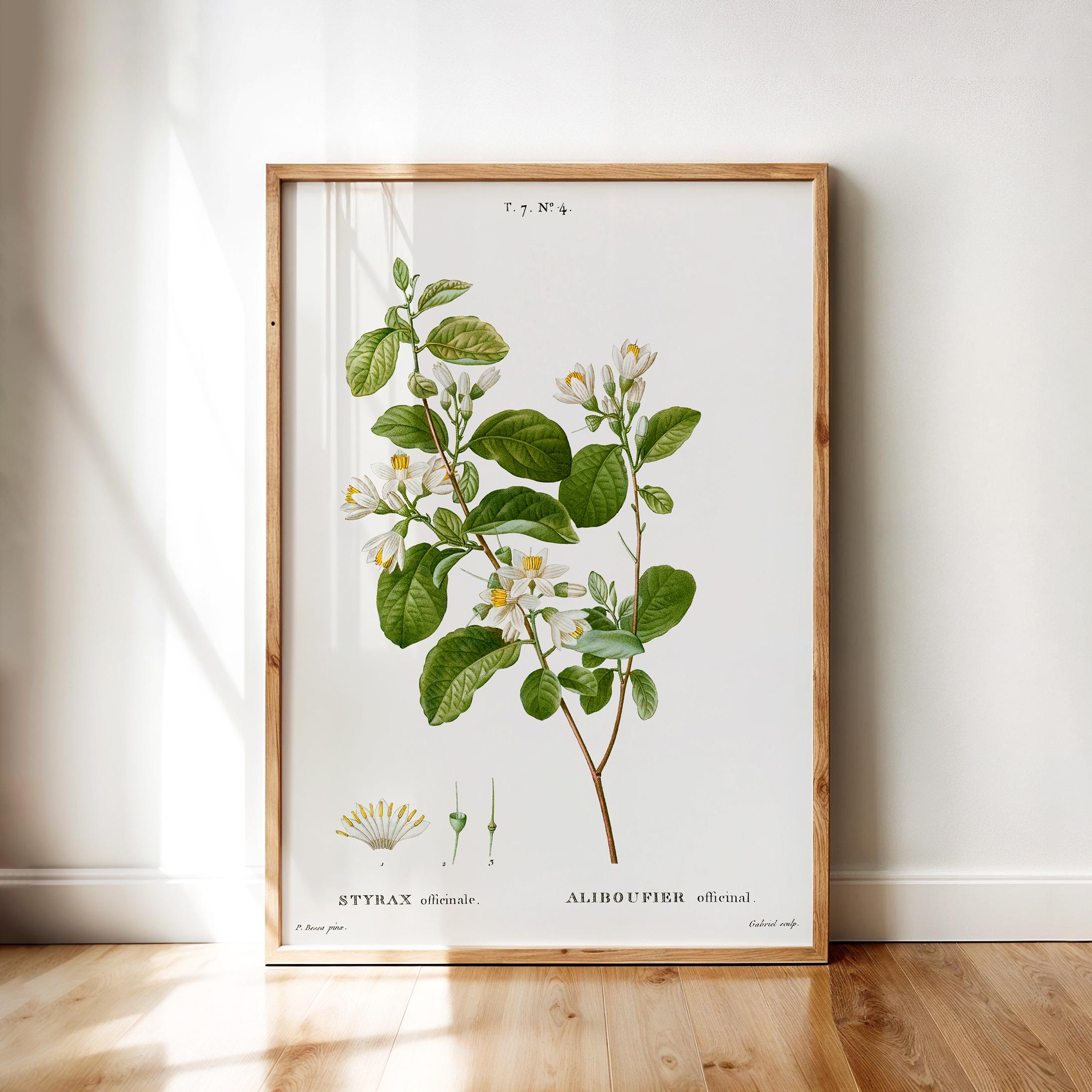 Styrax - Etsy 日本