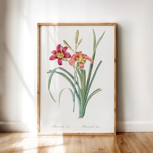 Printable Wall Art – Blue Oriental Hyacinth Botanical Poster, Redouté Antique Floral Artwork | Vintage Digital Download Home Decor