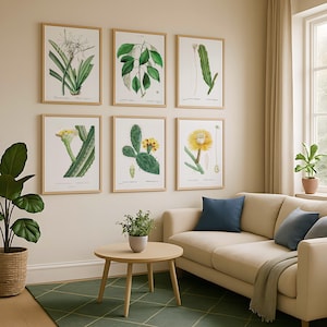 Cactus and Tropical Botanical Print Set of 6 – Vintage Green Plant Wall Art for Living Room or Kitchen Decor