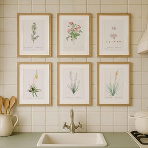 6er Set Botanische Küchenbilder – Vintage-Illustrationen im Redouté-Stil mit Blumen und Kräutern – digitale Wandkunst für ein gemütliches Zuhause