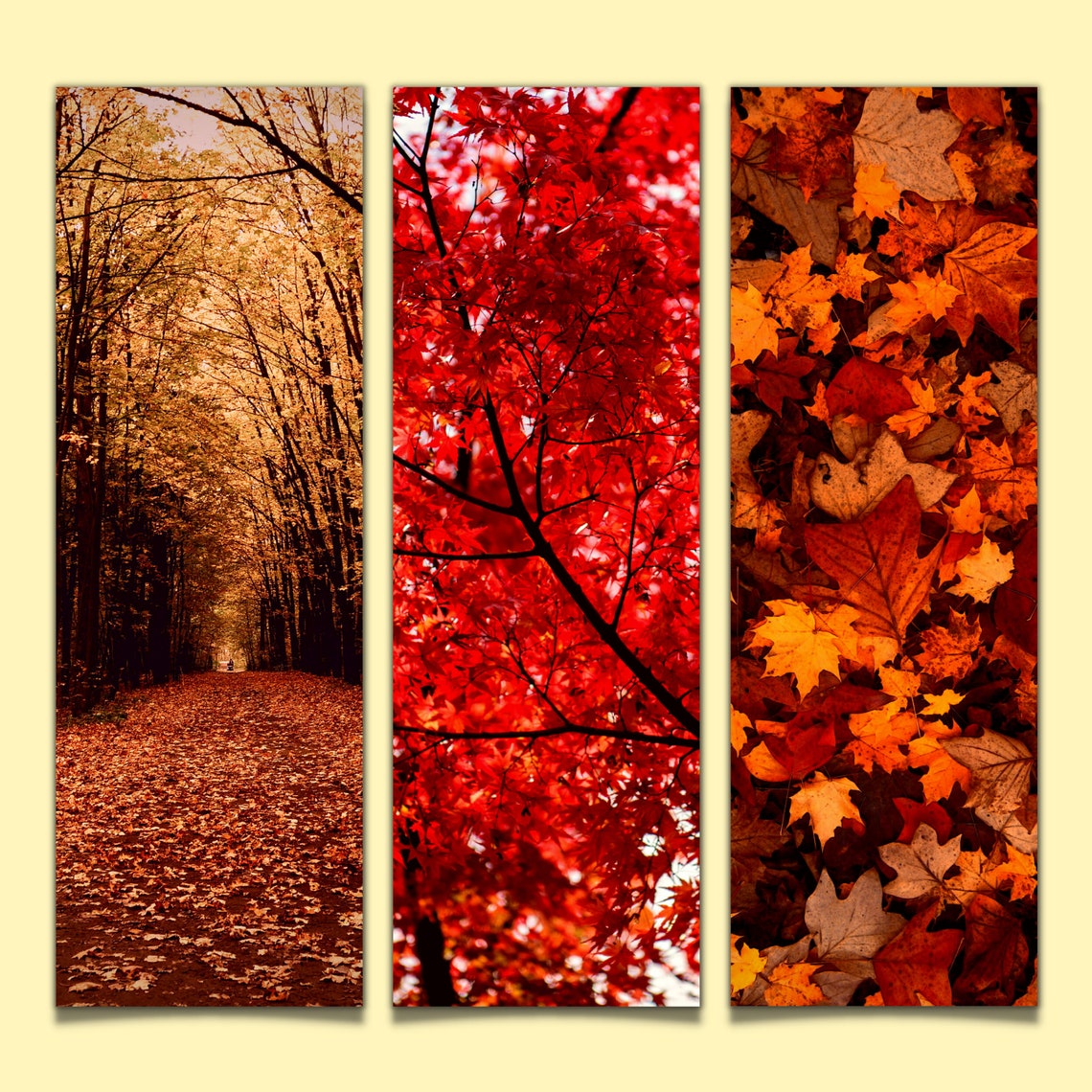 Printable Fall Leaves Bookmark Set, Autumn Bookish Bookmarks, Gift for ...