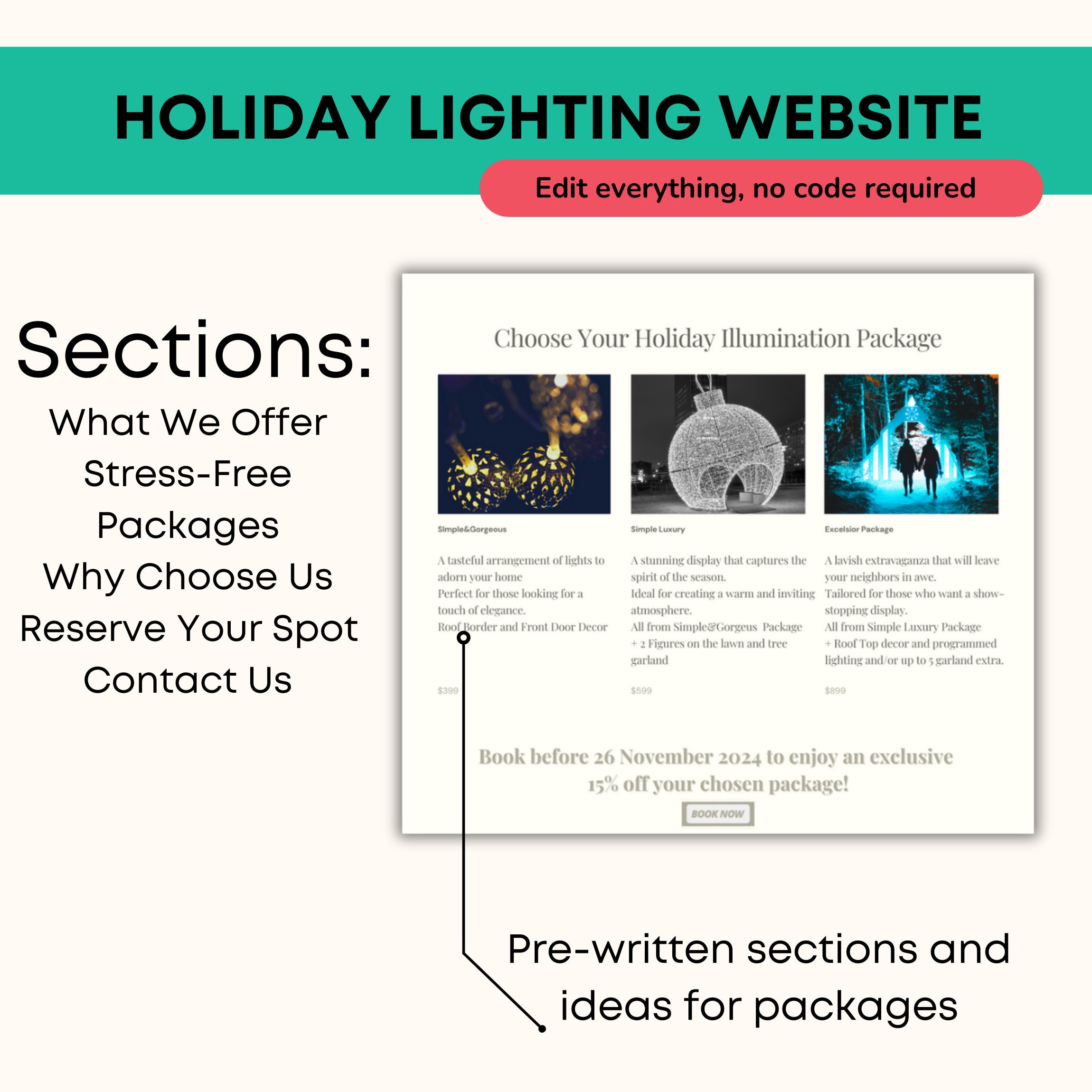 Startup Kit Christmas Lights Business site Professional Christmas
