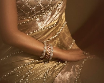 Handloom Tissue Silk Saree, Beaded Embroidery, Banarasi Border, Silk Mark