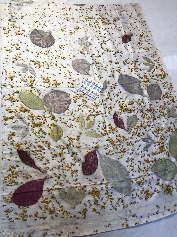 Handloom Tussar Silk Saree, Eco Leaf Print, Silk Mark Certified