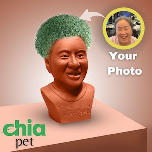 Chia Pet Bob Ross (The Joy of Painting) - Decorative Pot Easy to Do Fun to  Grow Chia Seeds Novelty Gift