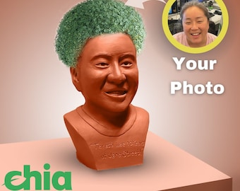 custom chia pet, personalized  terracotta face sculpture, hand made face sculpture, chia pet, face sculpture ,terracotta.