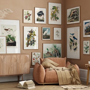 Impresiones de aves clásicas de James Audubon, Mega conjunto de 100, Impresiones de aves vintage imprimibles, Decoración de la casa de la granja, pared de la galería, arte de la pared francesa