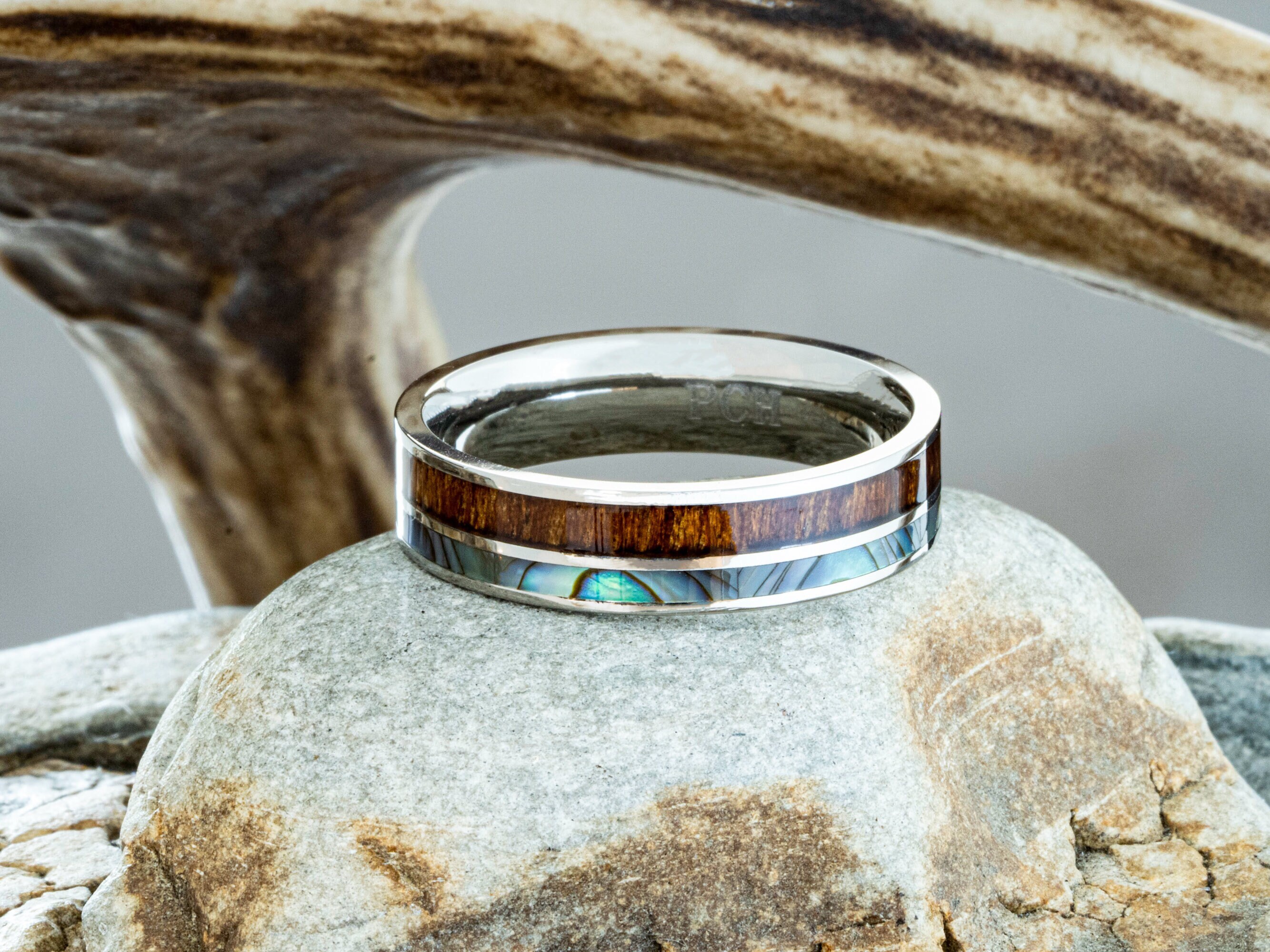 Exotic Petrified Wood Ring with Titanium Edges