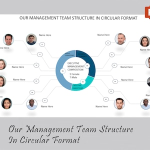 Management Team Structure In Circular Chart | Organization Chart | Business Organization Chart | Project Organization Chart | Organizational