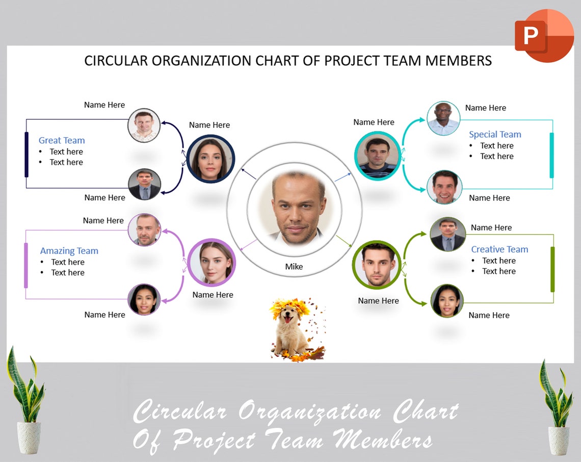 Circular Organization Chart of Project Team Members Project Management