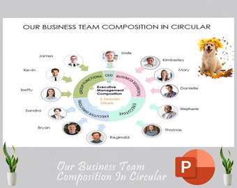 Business Team Composition In Circular Template | Business Organizational Chart | Company Org Chart | Business Organization Chart | Org Chart
