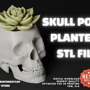 Skull Planter 3D STL File | Skeleton Head Files For 3D Printers | 3D Print Skull Flower Pot Planter Models