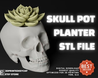 Maceta con forma de calavera para impresión 3D (archivo STL): Modelo de cabeza de esqueleto