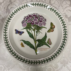Botanic Garden Coupé Salatteller von Portmeirion Sweet William Muster