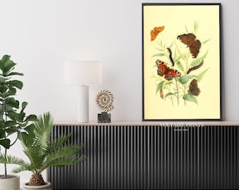 Vintage muurkunst vlinders en rupsen | Antieke botanische print | Klassiek natuurdecor | Digitale download #192