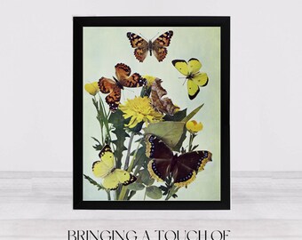 Vintage Butterflies on Flower Print | Antique Natural History Illustration | Printable Digital Download #285