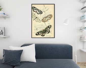 Vintage Butterflies on Plant Print | Antique Natural History Illustration | Botanical Insect Wall Art | Printable Digital Download #194
