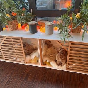 Natural Wood Double Dog House Kennel Comfortable & Durable. Pet Home Kennel | Handmade from Natural Wood | XS to XL Sizes