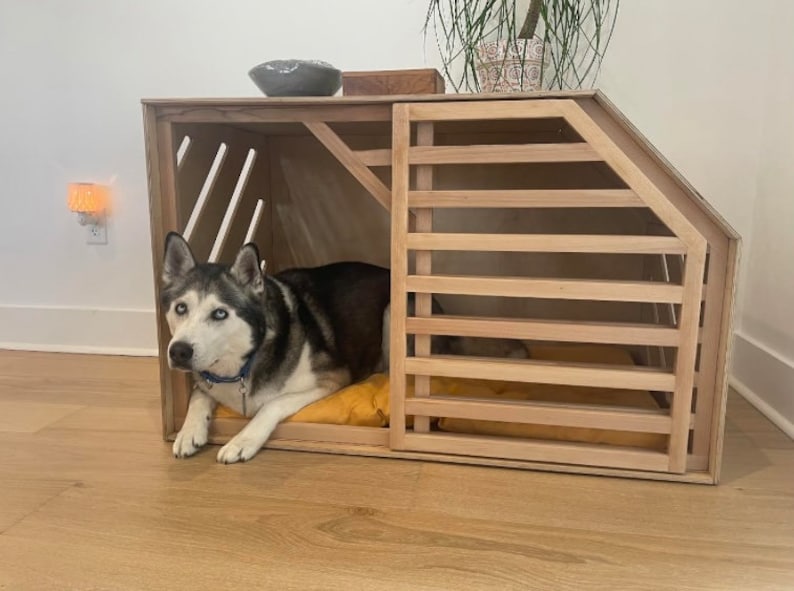 May include: A wooden dog crate with a black and white husky dog inside. The crate has a slatted door and a small bed inside.
