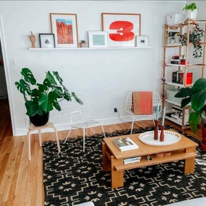 May include: A living room interior with a white wire chair, a wooden coffee table, a black and white patterned rug, and a potted plant. The coffee table has a wooden top and a lower shelf. The rug has a geometric pattern. The plant is a large green plant in a brown pot.