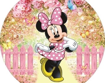 Minnie Mouse Pinata