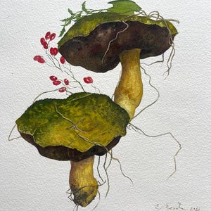 Original Watercolor Painting Mushrooms Botanical Illustration Exclusive Gift Unique Home Decor Forest Rustic Fine Art Handmade Wall Hangings