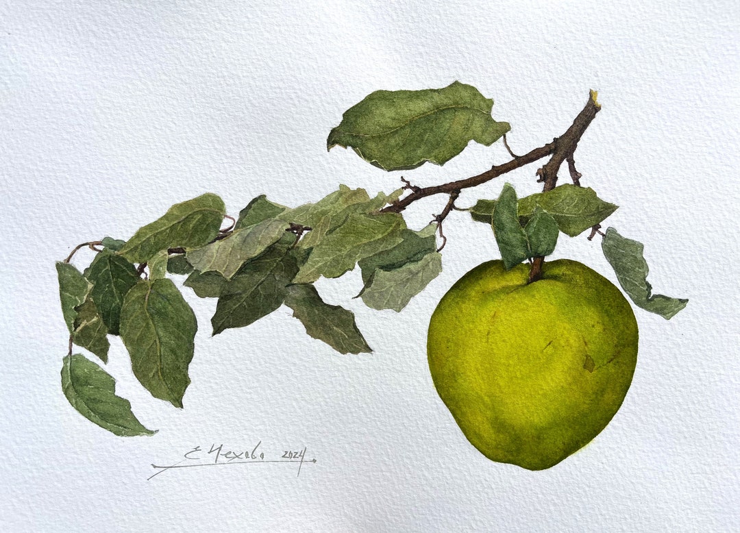 Original Apple Watercolor Painting, Handmade Botanical Wall Art - Etsy