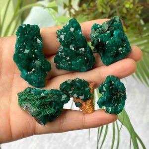 Natural Dioptase Crystal Specimen , Dioptase Crystal , Crystal Collection , Gemmy Dioptase , Dioptase collecting , Authentic Congo Origin