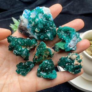 Specimen natuurlijk dioptaaskristal, dioptaaskristal, kristalcollectie, Gemmy-dioptase, dioptase verzamelen, authentieke Congo-oorsprong