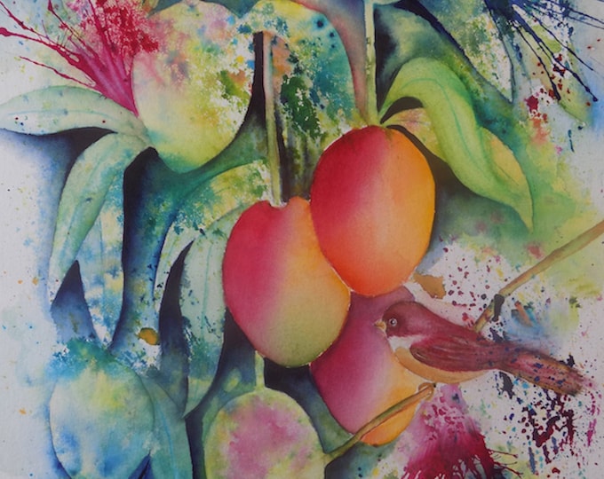 Manoa Mangos