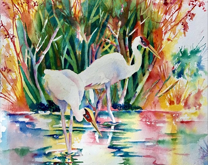 Two Cranes feeding in a Pond