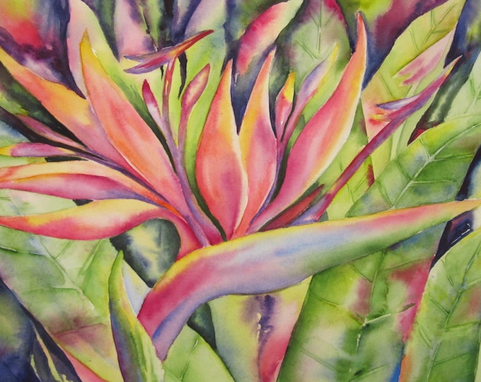 Tropical Bird of Paradise