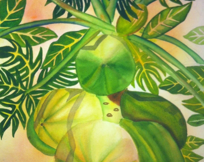 Gazing Up The Papaya Tree