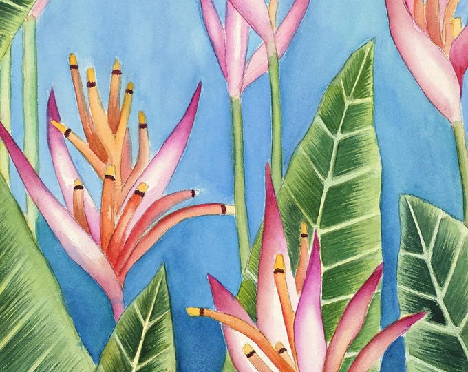 Parrot Heliconia