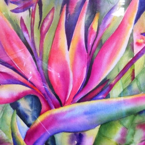 Bird Of Paradise