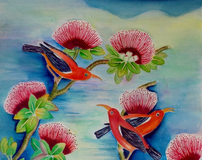 I'iwi Birds Playing in the O'hia Lehua Tree
