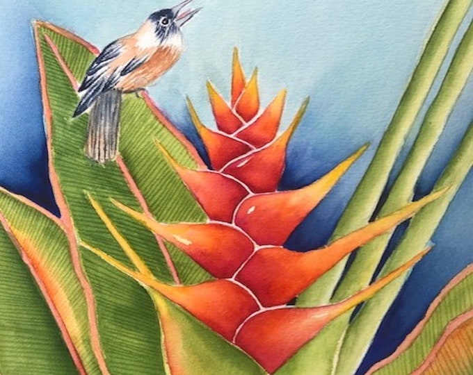 Heavenly Heliconia