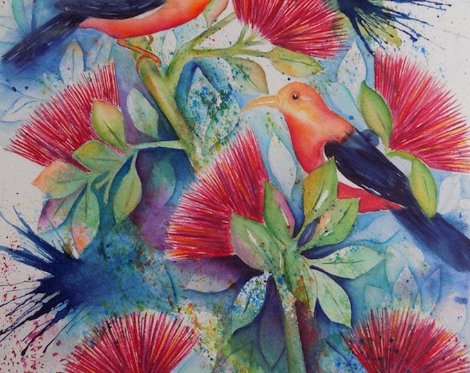 I'iwi Birds playing in the O'hia Lehua Trees