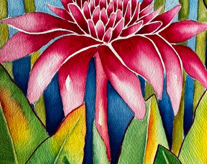 Tropical Torch Ginger