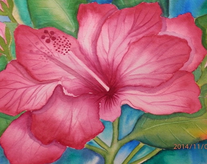 Tropical Hibiscus