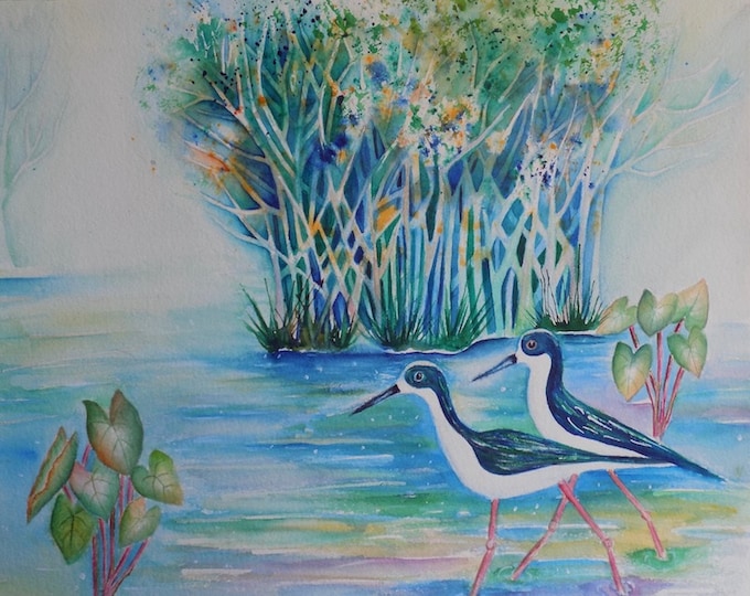 Two Hawaiian Stilt Birds Wading in a Pond