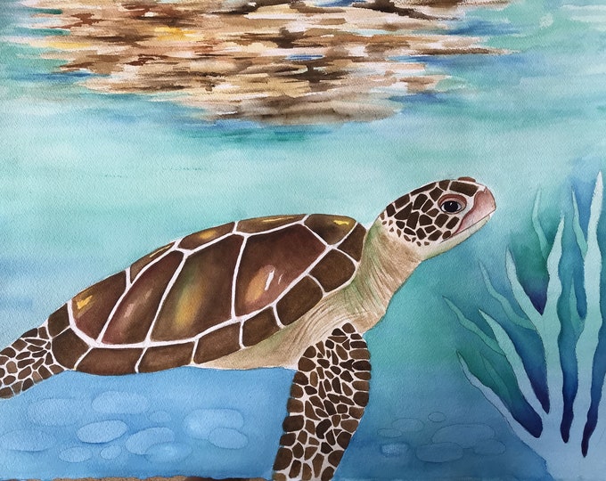 Reflections Of A Honu