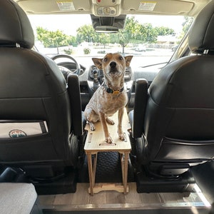 RAM ProMaster Dog Platform