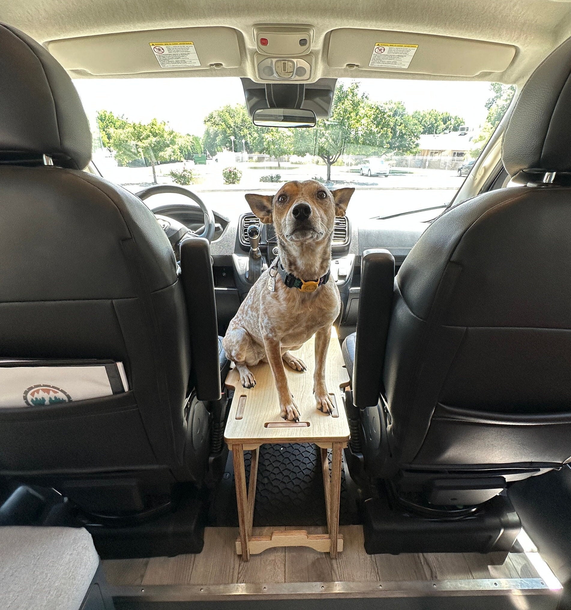 middle console dog seat