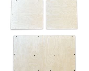 RAM ProMaster Low Roof Door Panel Set
