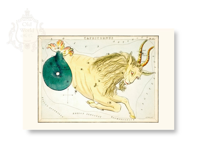 May include: A vintage illustration of the constellation Capricornus, depicted as a sea-goat with a golden body and horns, against a blue background with stars. The illustration is surrounded by a white border with the text "CAPRICORNUS" at the top.
