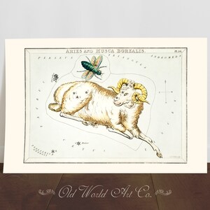Aries Star Map, Aries Wall Art, Vintage Astrology Decor, Birthday Gift Her, Birthday Gifts, Wall Decor, Zodiac Art Print, Aries Ram Gifts