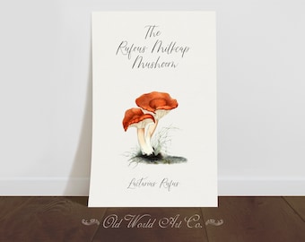 Vintage Mushroom Poster Print Decor, Rufous Milkcap Mushroom Illustration Wall Art, Mushroom Kitchen Decor, Antique Fungi Print, Food Art