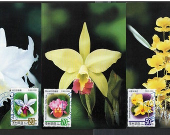 Set of 3 x POSTCARDS, MC - Maxi Cards from K - 2000, Flowers, Orchids, Nature,